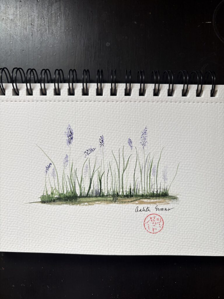 Watercolor field study of lavender stalks and grasses on textured paper with visible spiral binding and incomplete ground line — ACFA Creative House
