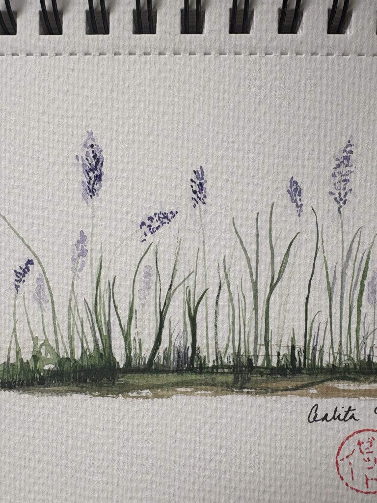 Watercolor study of grasses and emerging lavender forms on textured paper, mid-stage composition with exploratory brushwork — ACFA Creative House